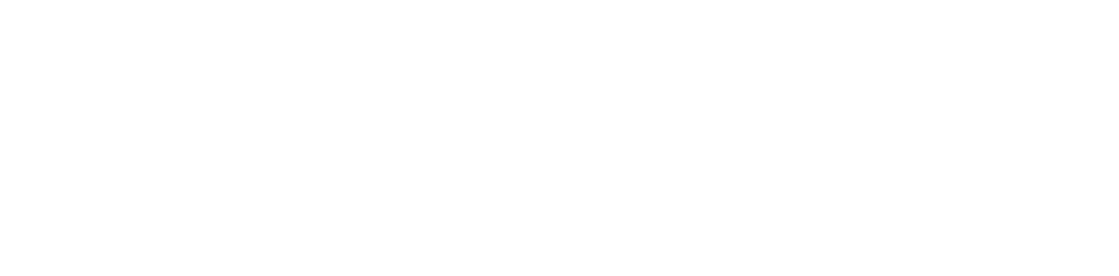 SASA NIK Logo quer